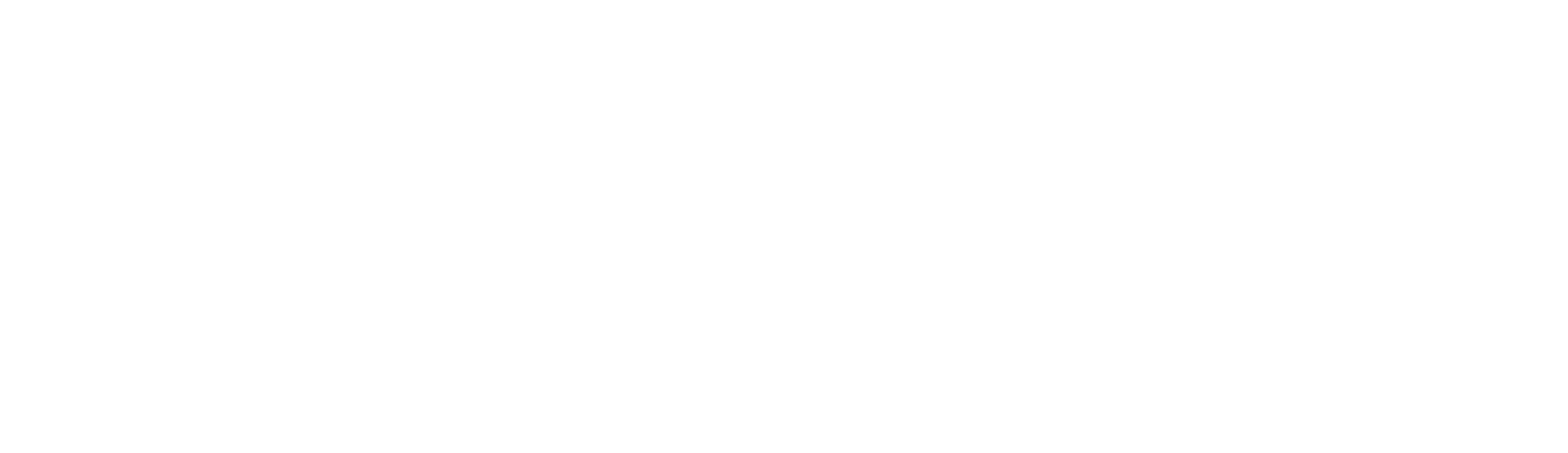DPM Metals